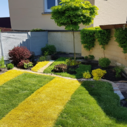 Abattage : enlevez les arbres dangereux ou indésirables de votre jardin en toute sécurité Vendome